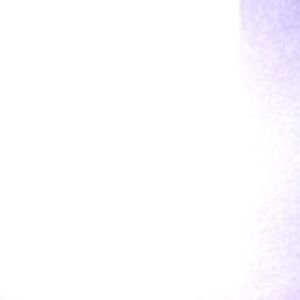 Meet your Posher, Alan